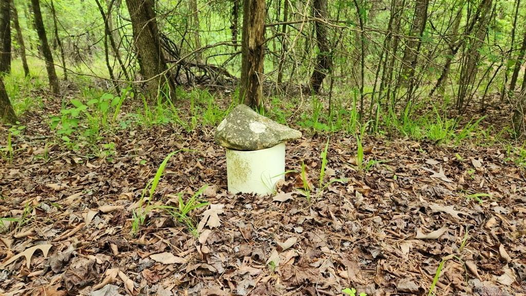 2014 W Highway 8  Norman, AR