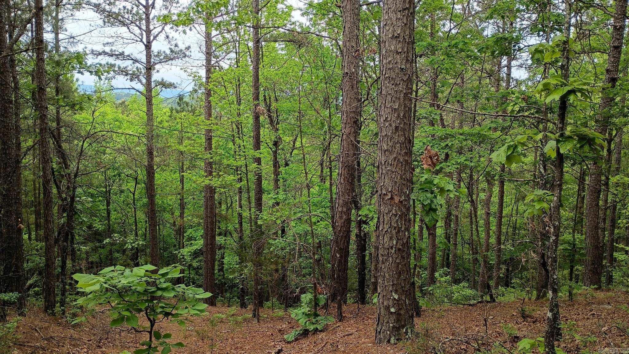 2014 W Highway 8  Norman, AR