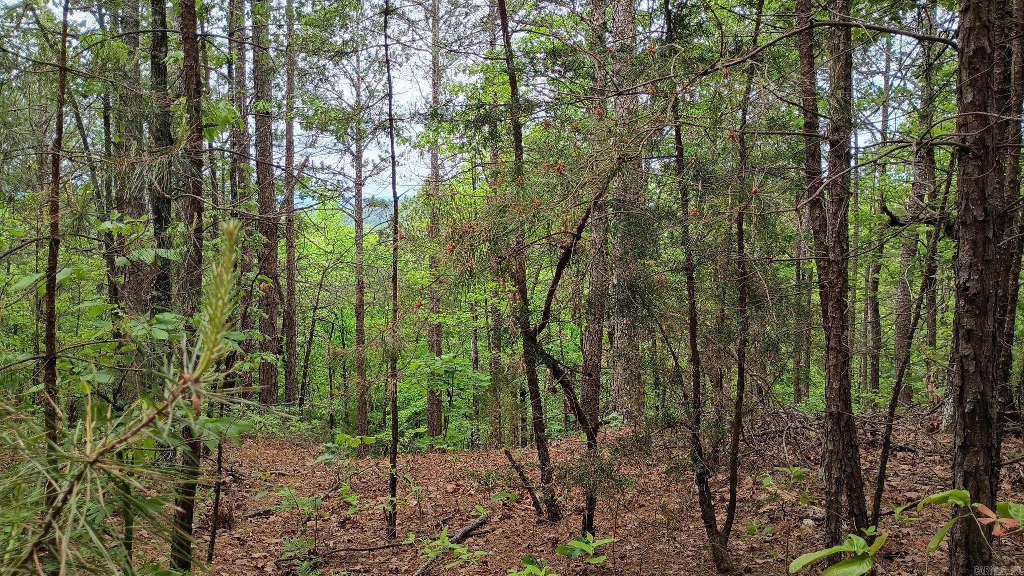 2014 W Highway 8  Norman, AR