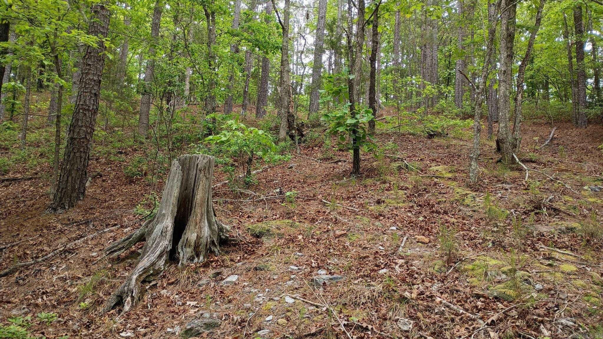 2014 W Highway 8  Norman, AR