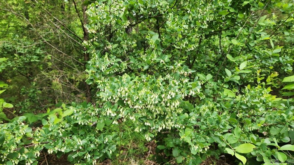 2014 W Highway 8  Norman, AR