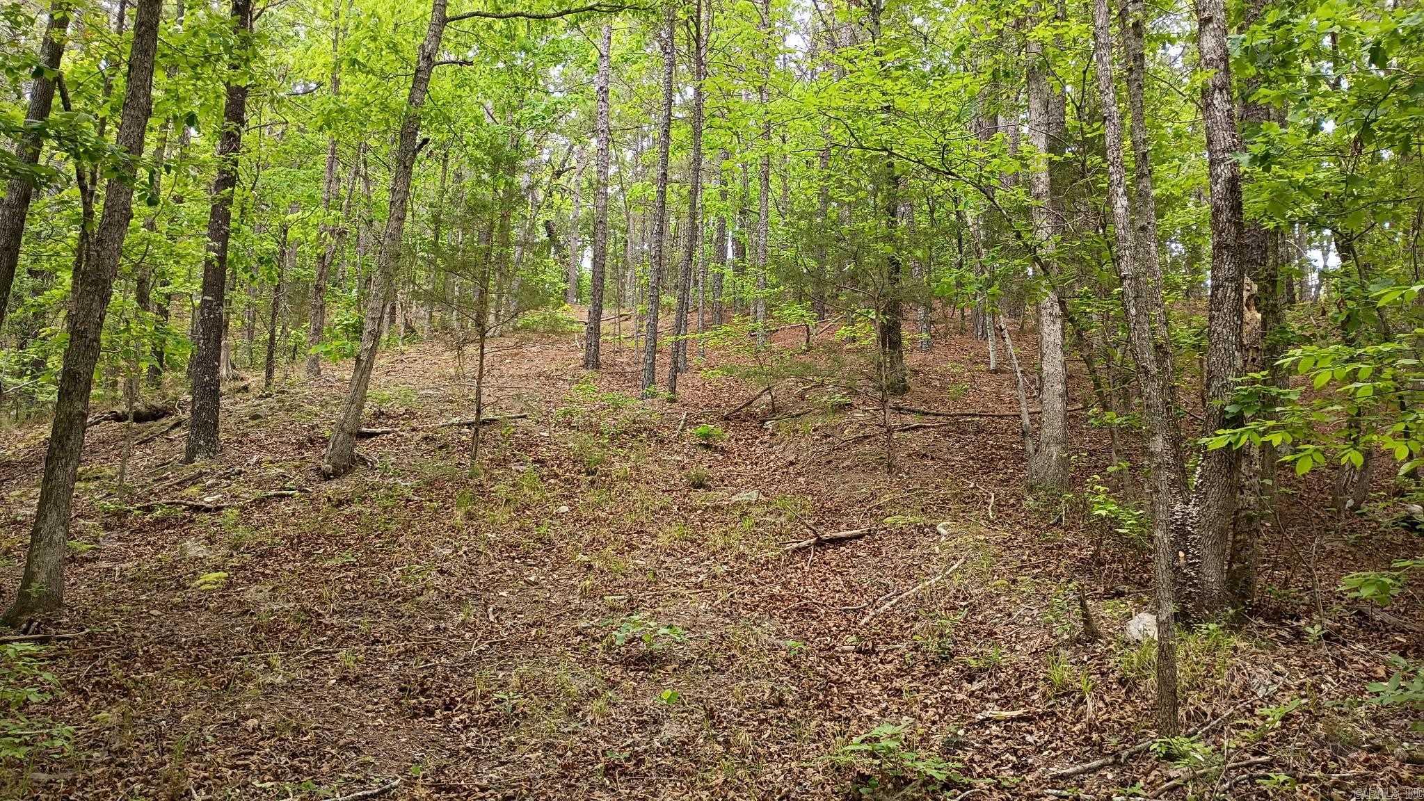 2014 W Highway 8  Norman, AR