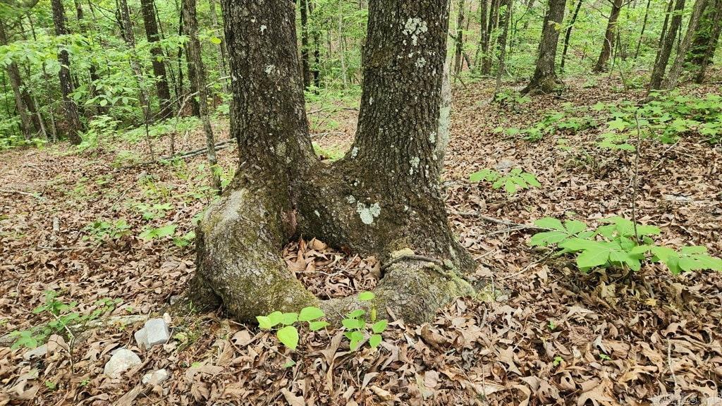 2014 W Highway 8  Norman, AR