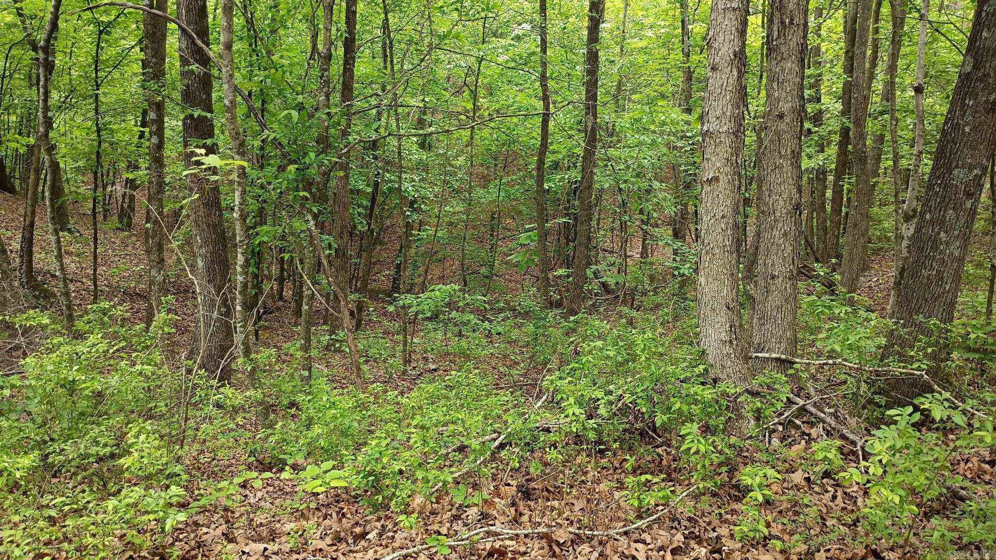 2014 W Highway 8  Norman, AR