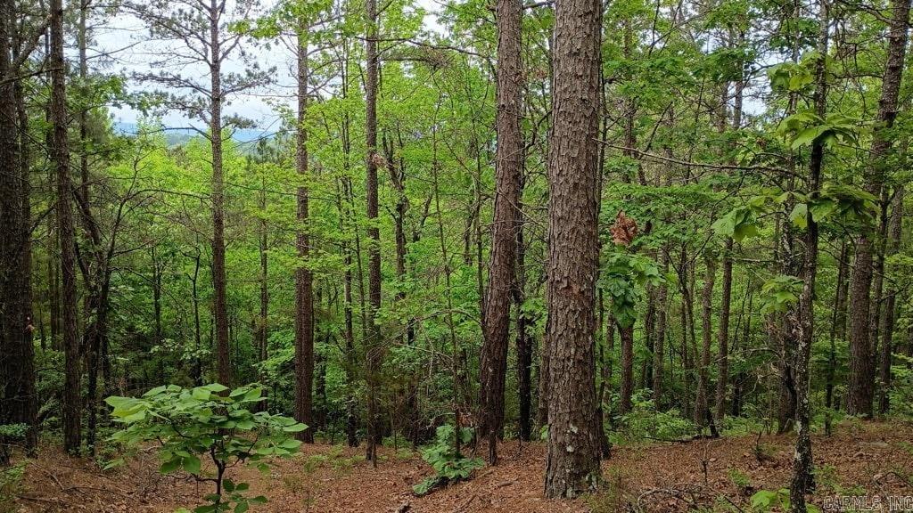 2014 W Highway 8  Norman, AR