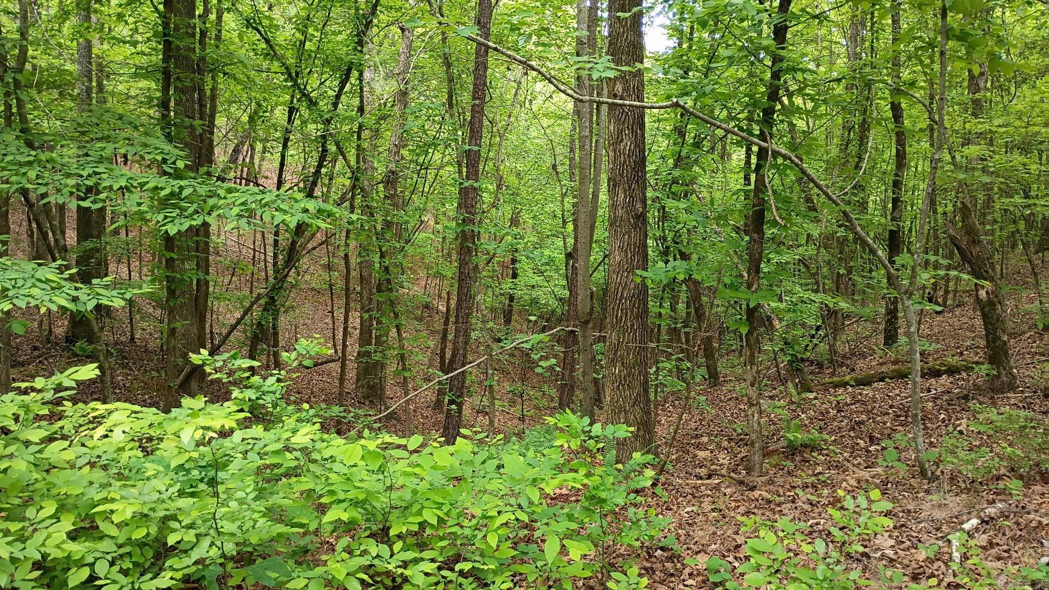 2014 W Highway 8  Norman, AR