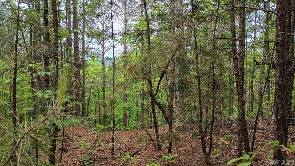 2014 W Highway 8  Norman, AR