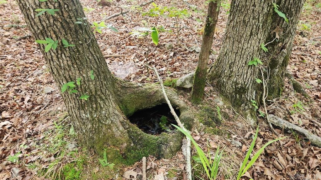 2014 W Highway 8  Norman, AR