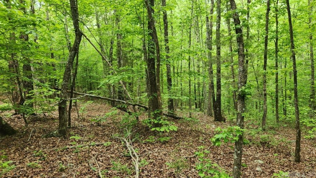 2014 W Highway 8  Norman, AR