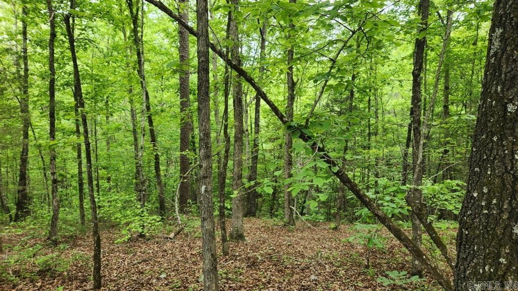 2014 W Highway 8  Norman, AR