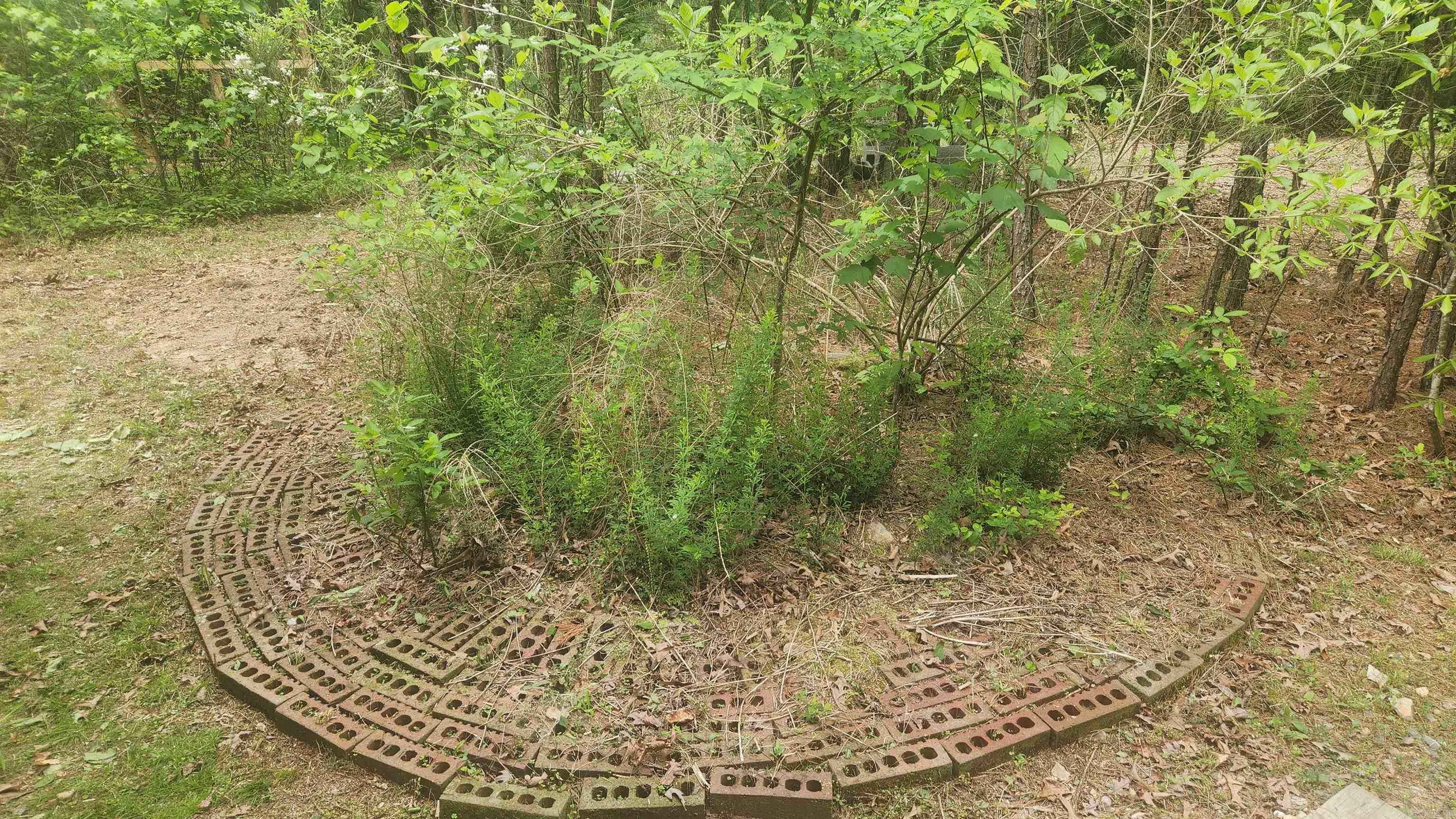 2014 W Highway 8  Norman, AR