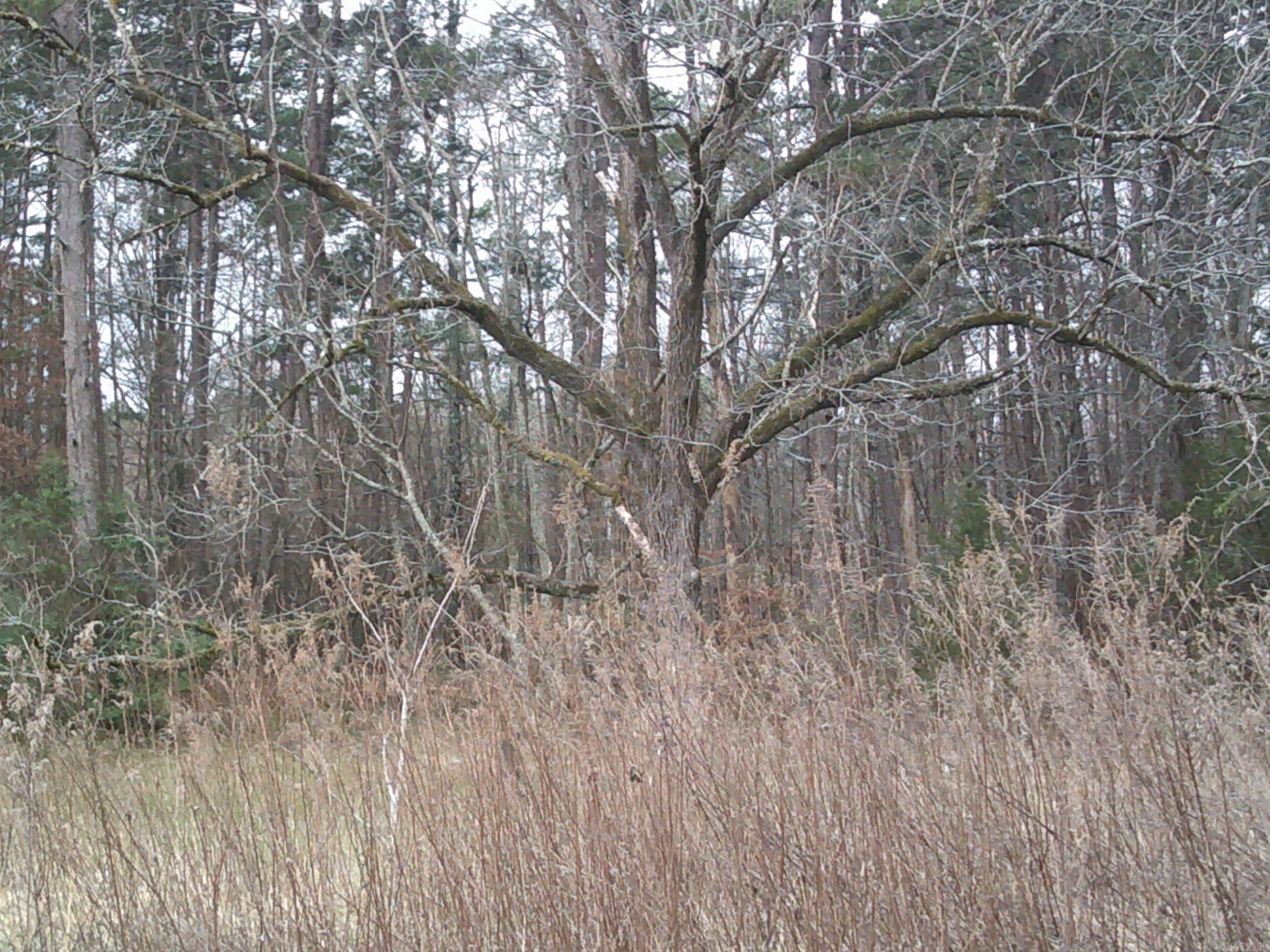 X N Highway 7  Hot Springs, AR