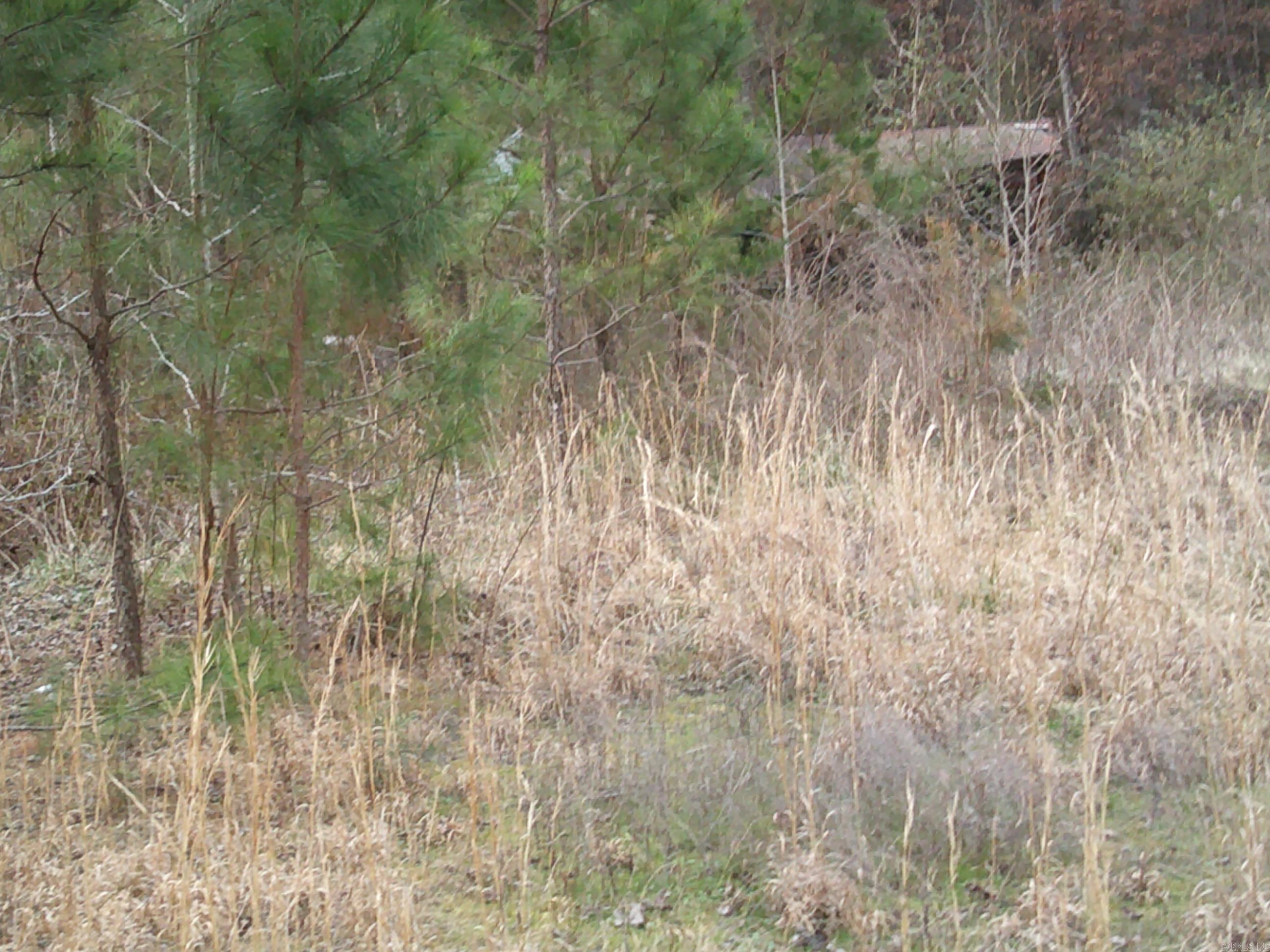 X N Highway 7  Hot Springs, AR