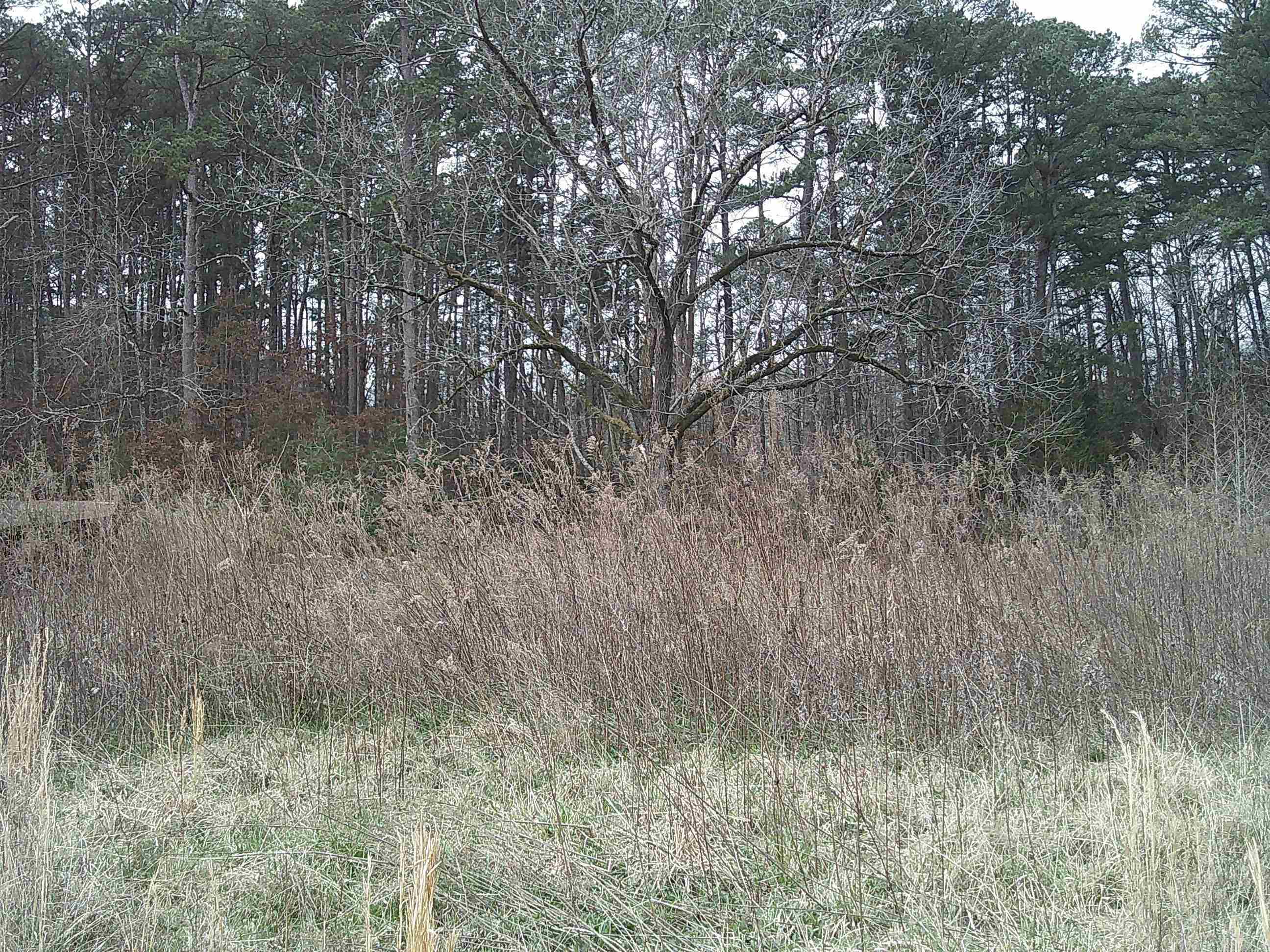 X N Highway 7  Hot Springs, AR