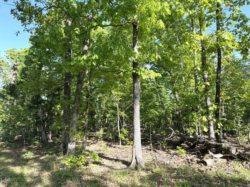 260 Highway 63  Ravenden, AR