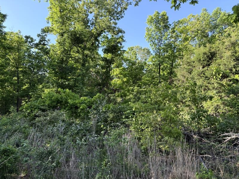 260 Highway 63  Ravenden, AR