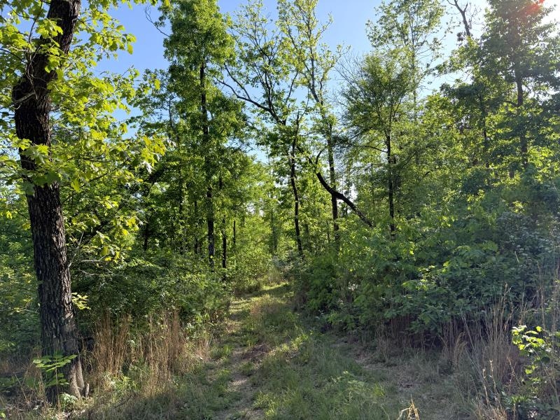 260 Highway 63  Ravenden, AR