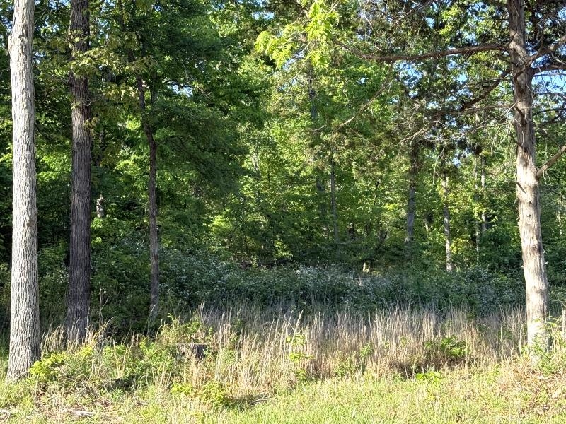 260 Highway 63  Ravenden, AR