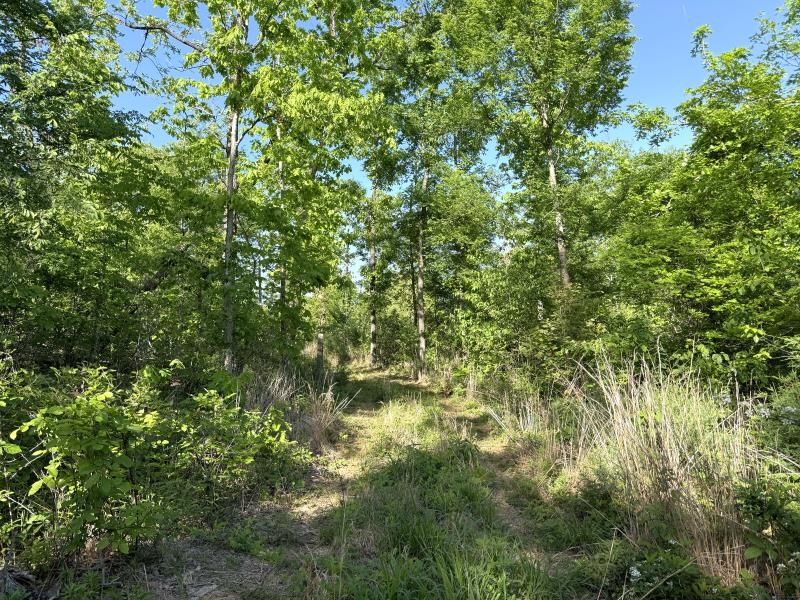 260 Highway 63  Ravenden, AR