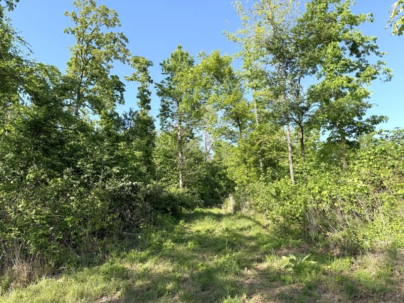 260 Highway 63  Ravenden, AR