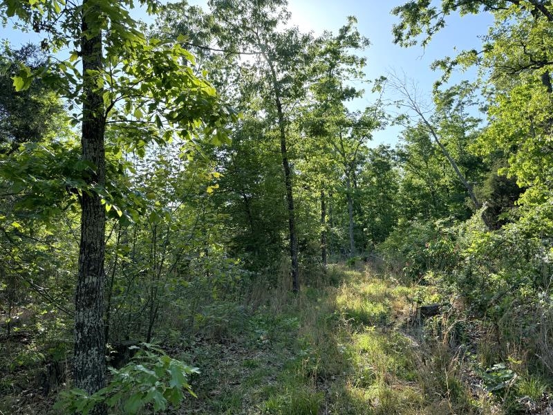 260 Highway 63  Ravenden, AR