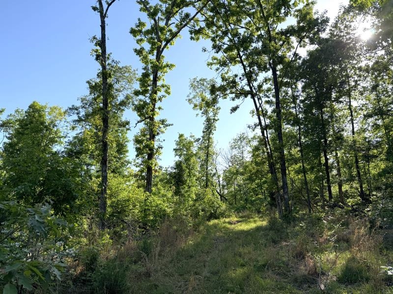 260 Highway 63  Ravenden, AR