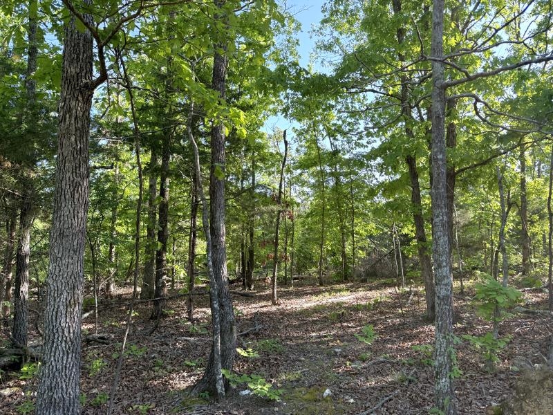 260 Highway 63  Ravenden, AR