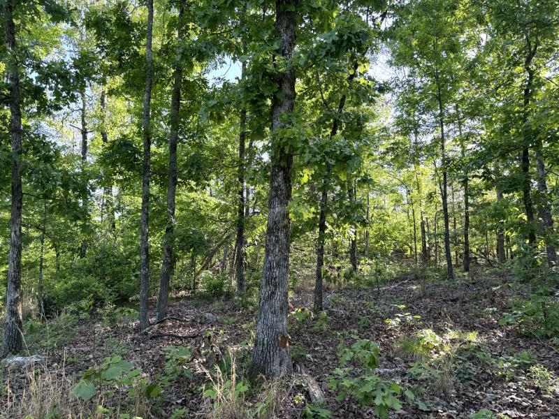 260 Highway 63  Ravenden, AR