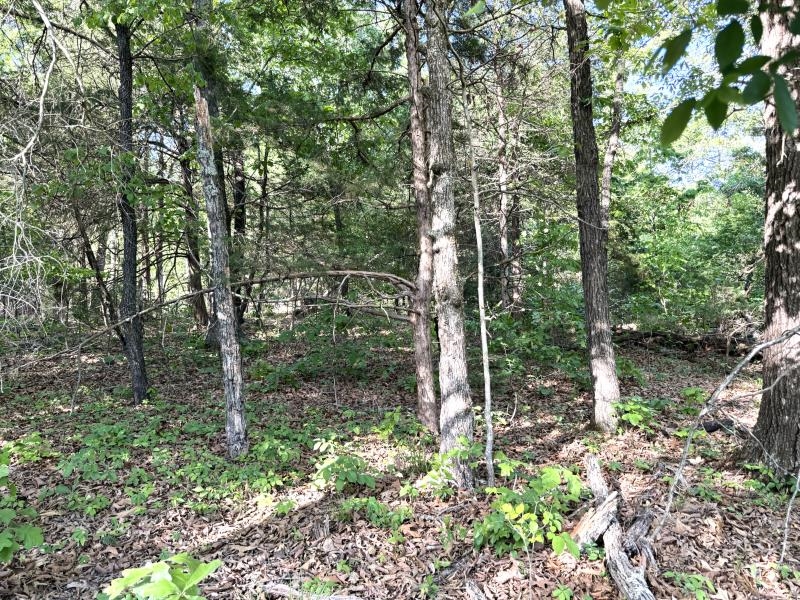 260 Highway 63  Ravenden, AR