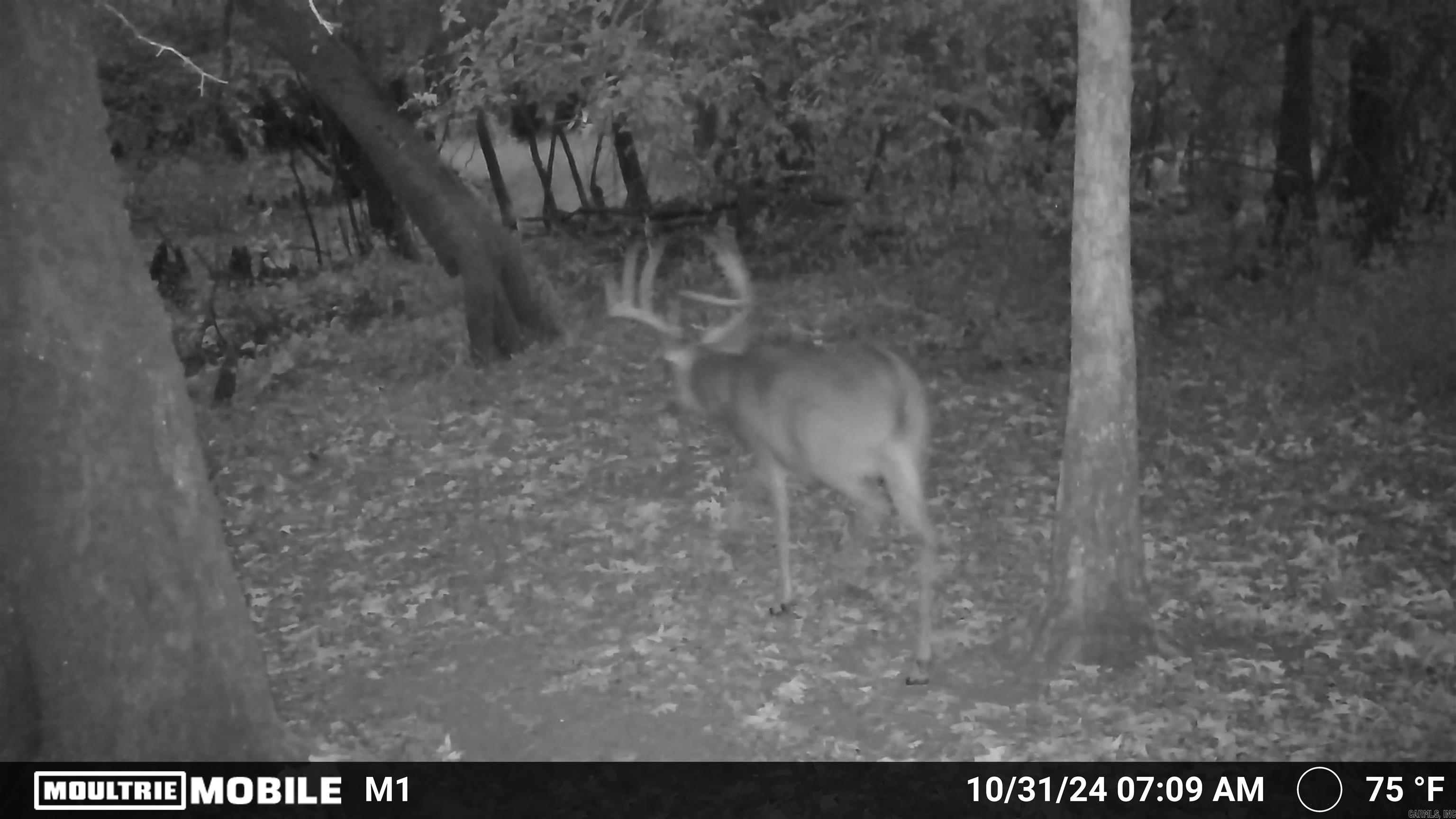 000 Gibb anderson rd  Pine Bluff, AR