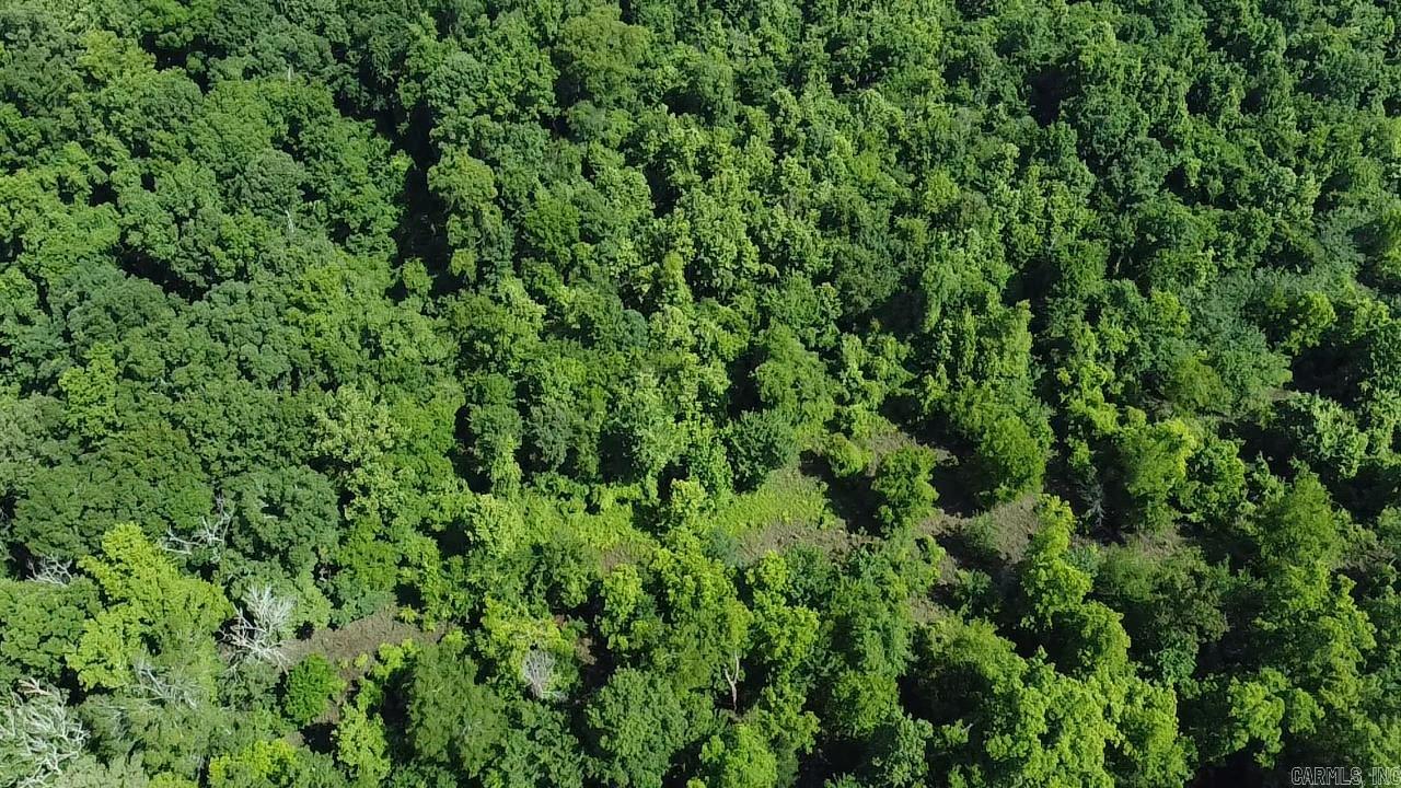 000 Gibb anderson rd  Pine Bluff, AR