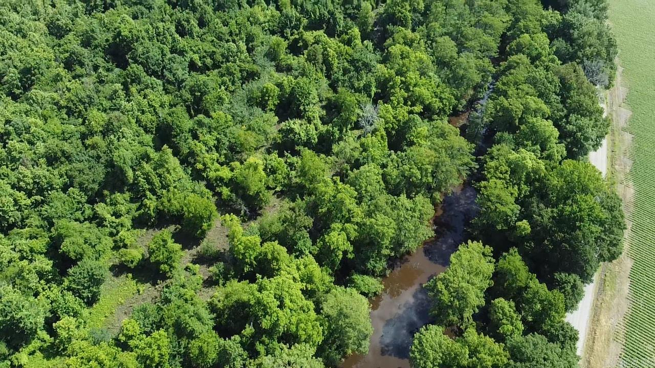 000 Gibb anderson rd  Pine Bluff, AR