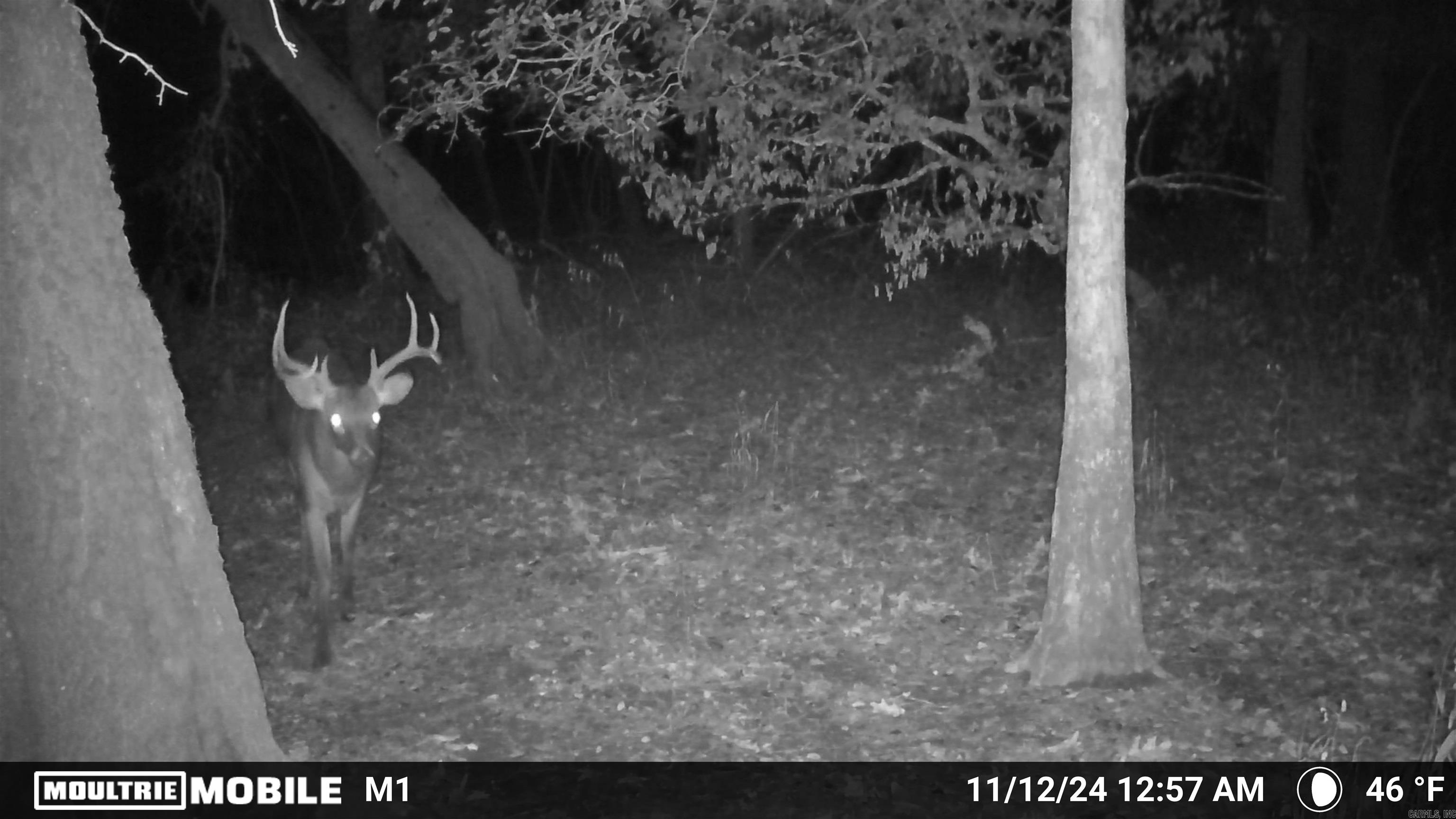 000 Gibb anderson rd  Pine Bluff, AR