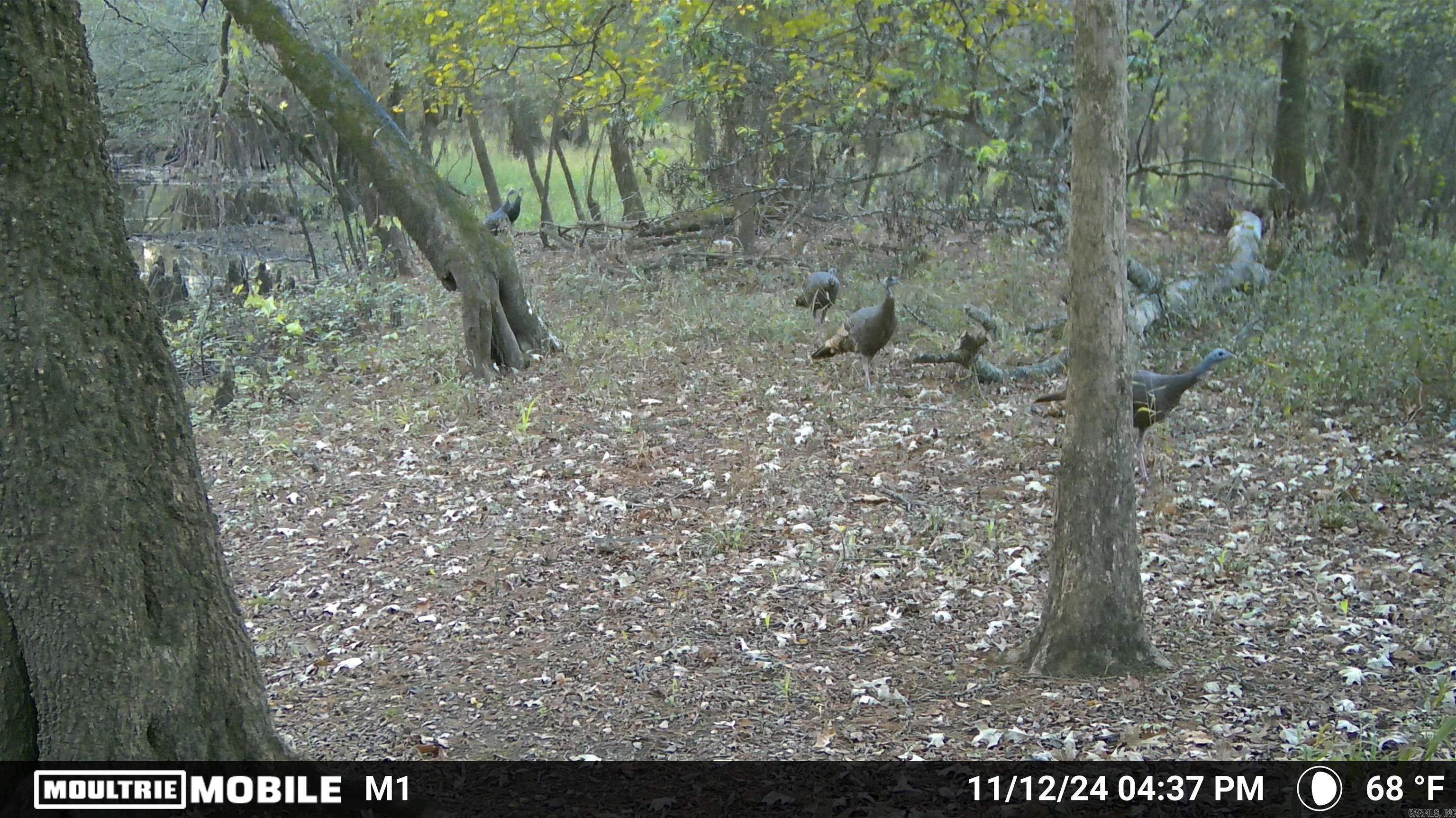 000 Gibb anderson rd  Pine Bluff, AR