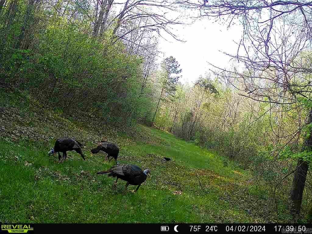 000 Gibb anderson rd  Pine Bluff, AR