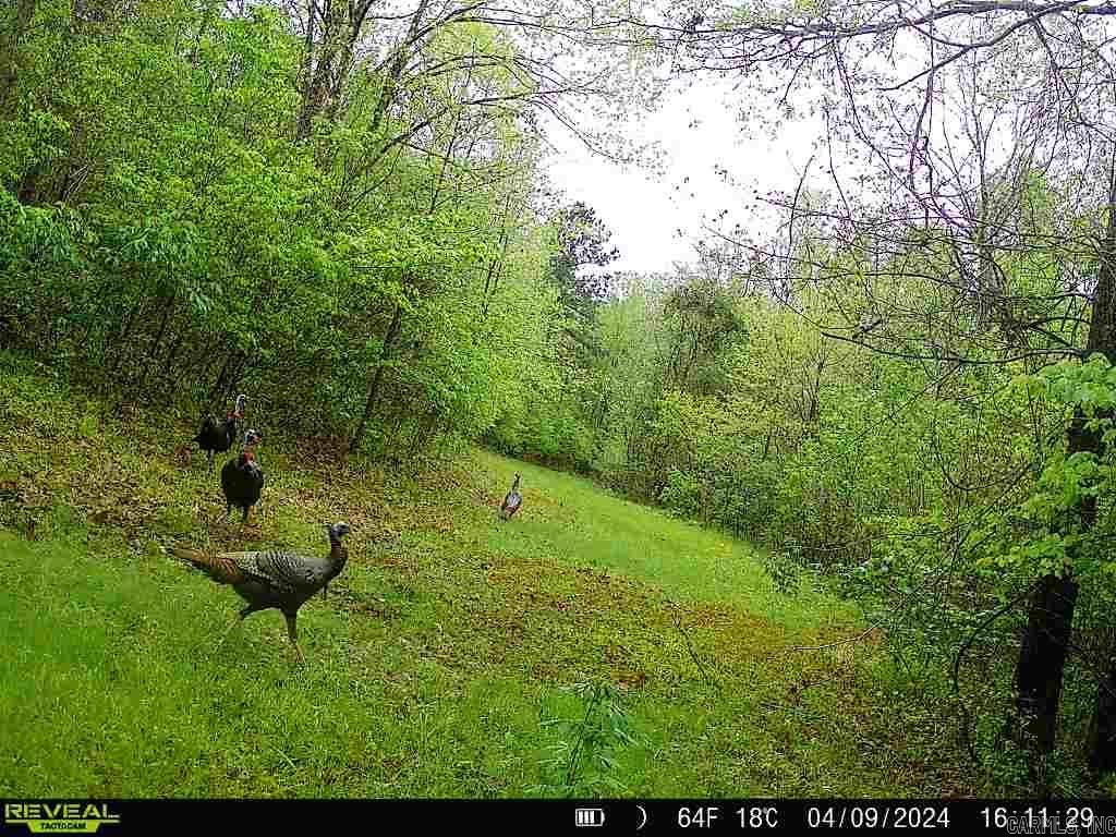 000 Gibb anderson rd  Pine Bluff, AR