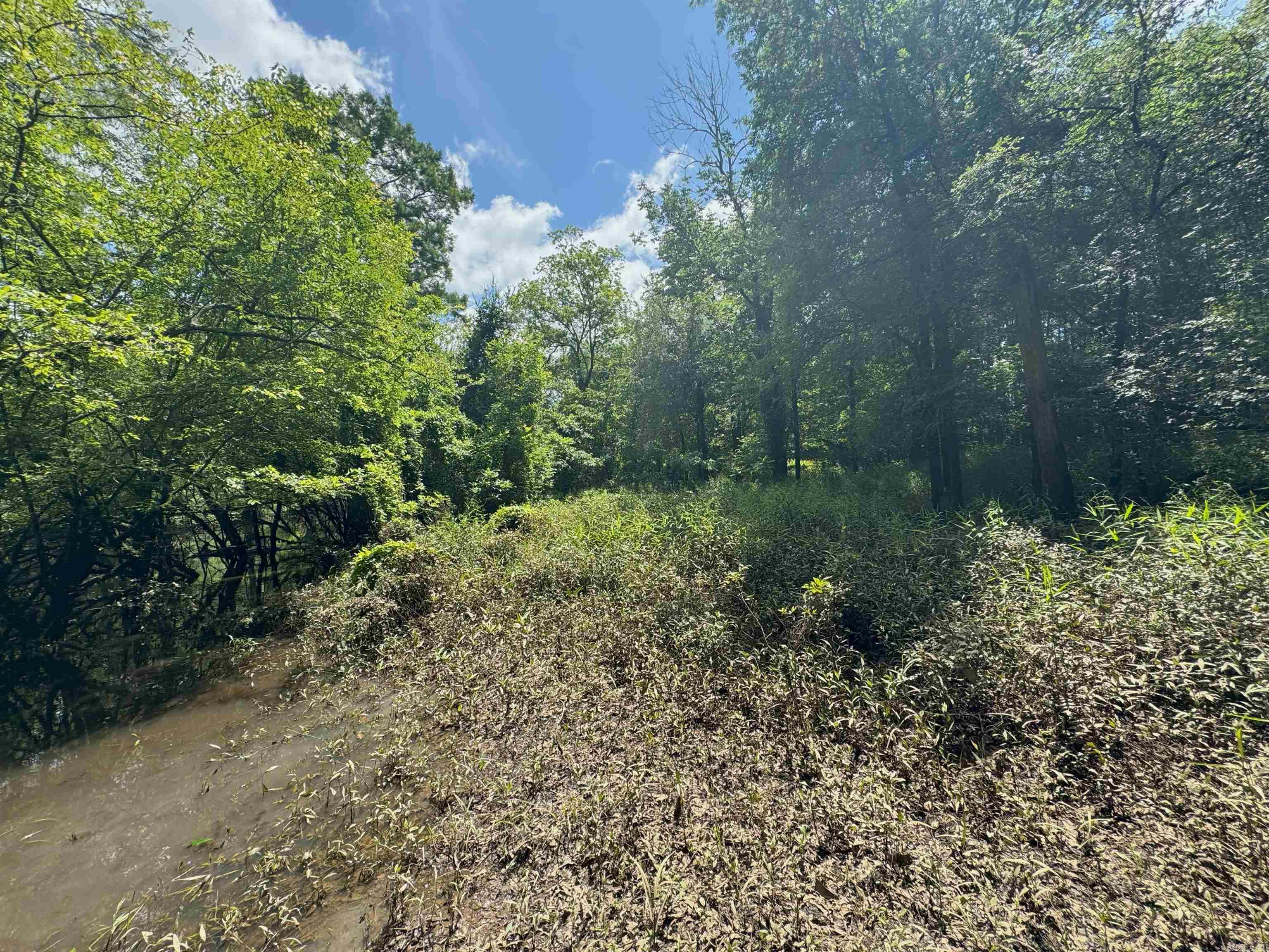 000 Gibb anderson rd  Pine Bluff, AR