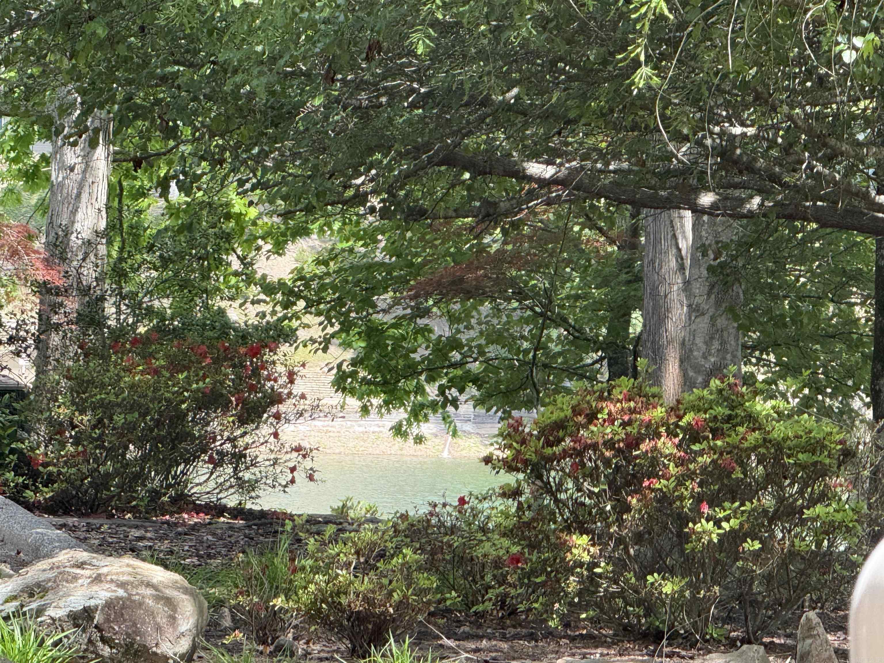 49 Marinero  Hot Springs Village, AR