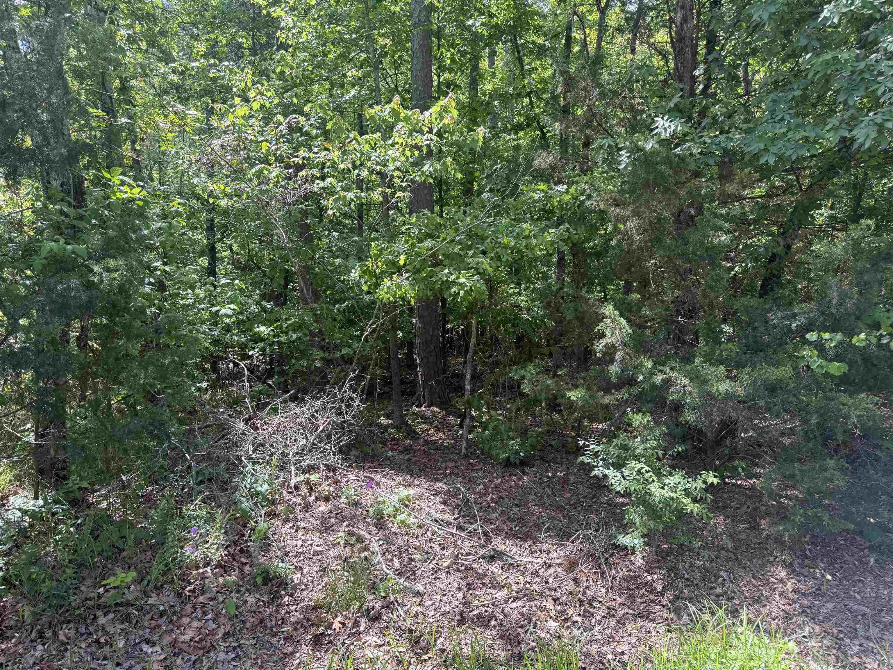 49 Marinero  Hot Springs Village, AR