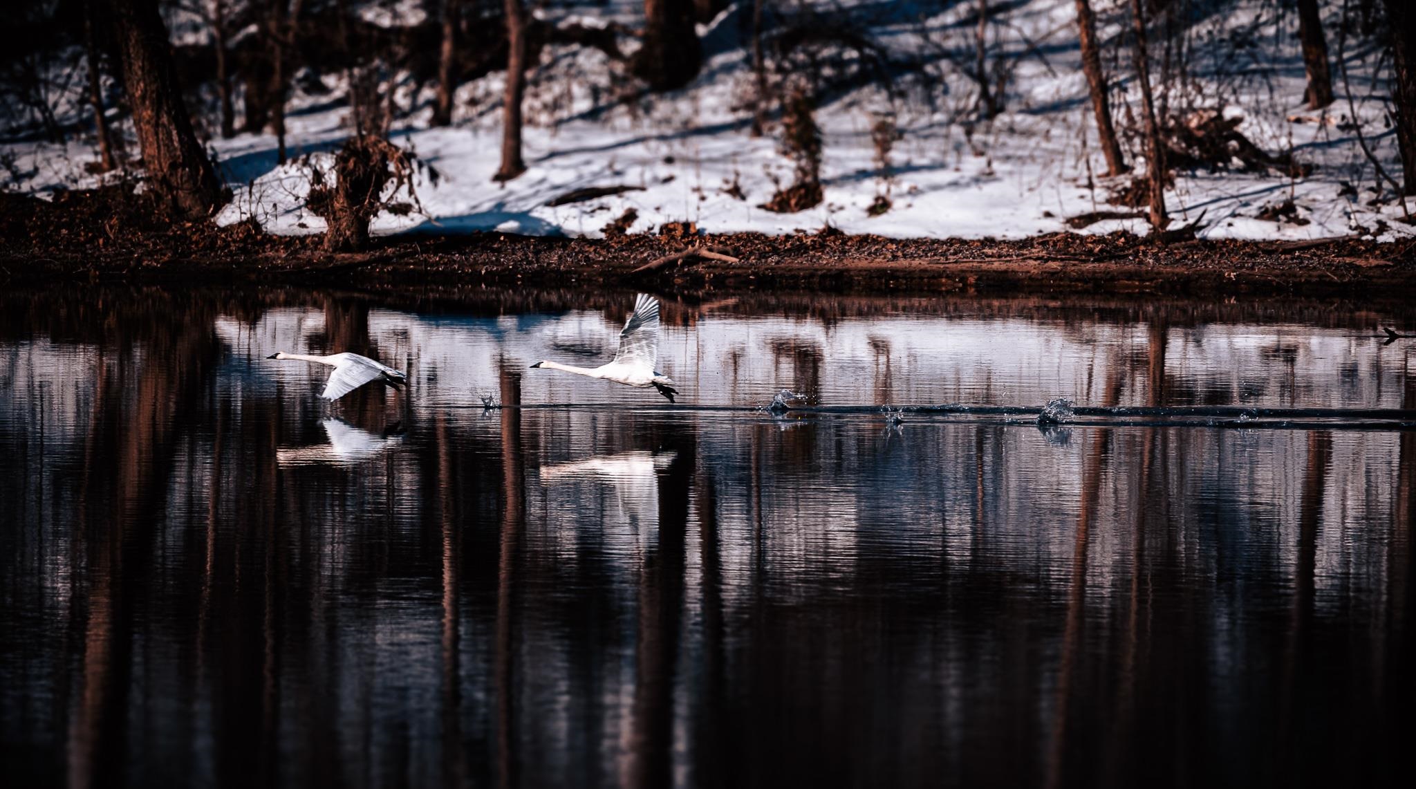 220 Joe Baker Road  Batesville, AR