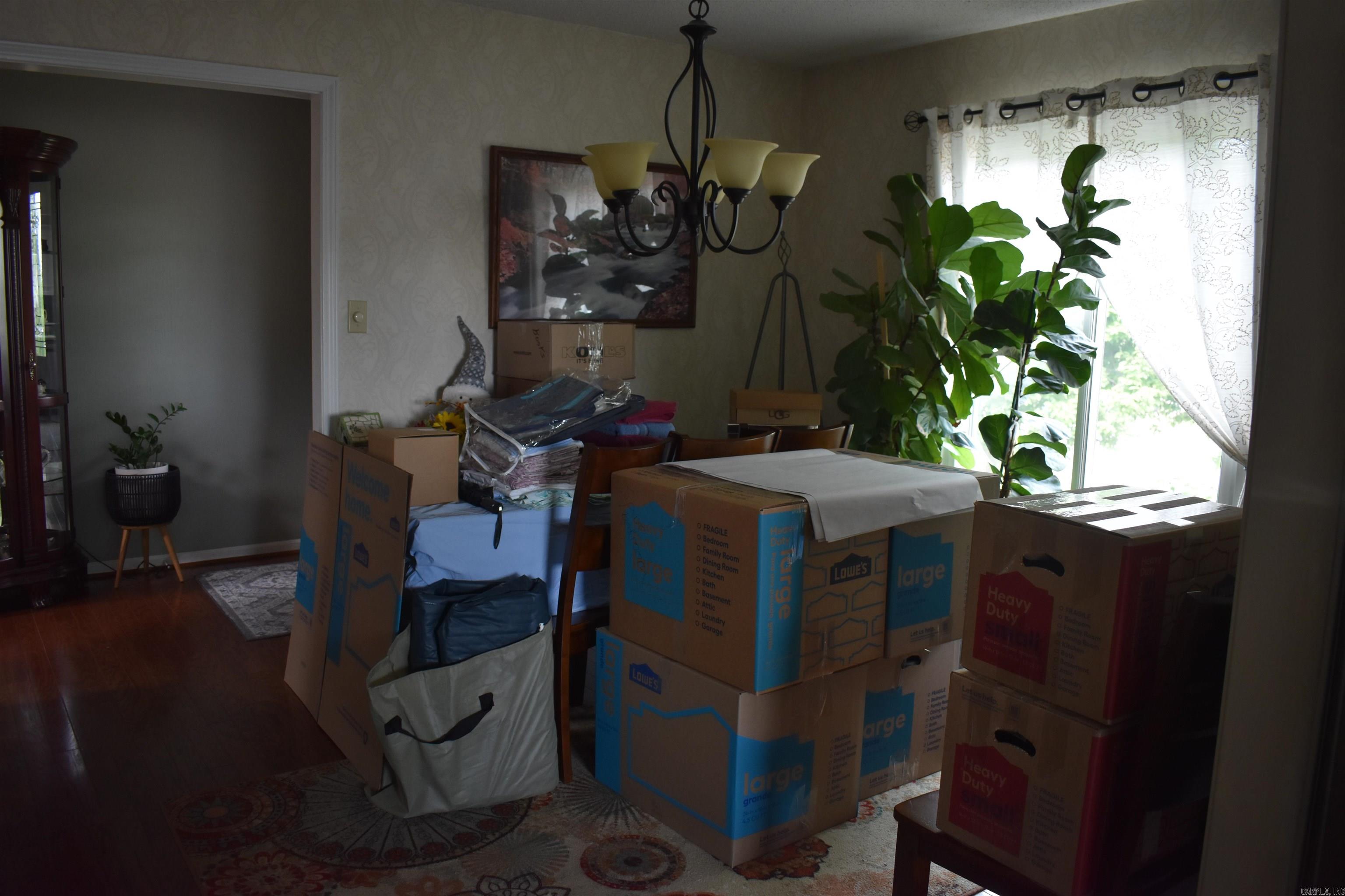 3007 Bermuda  Jonesboro, AR