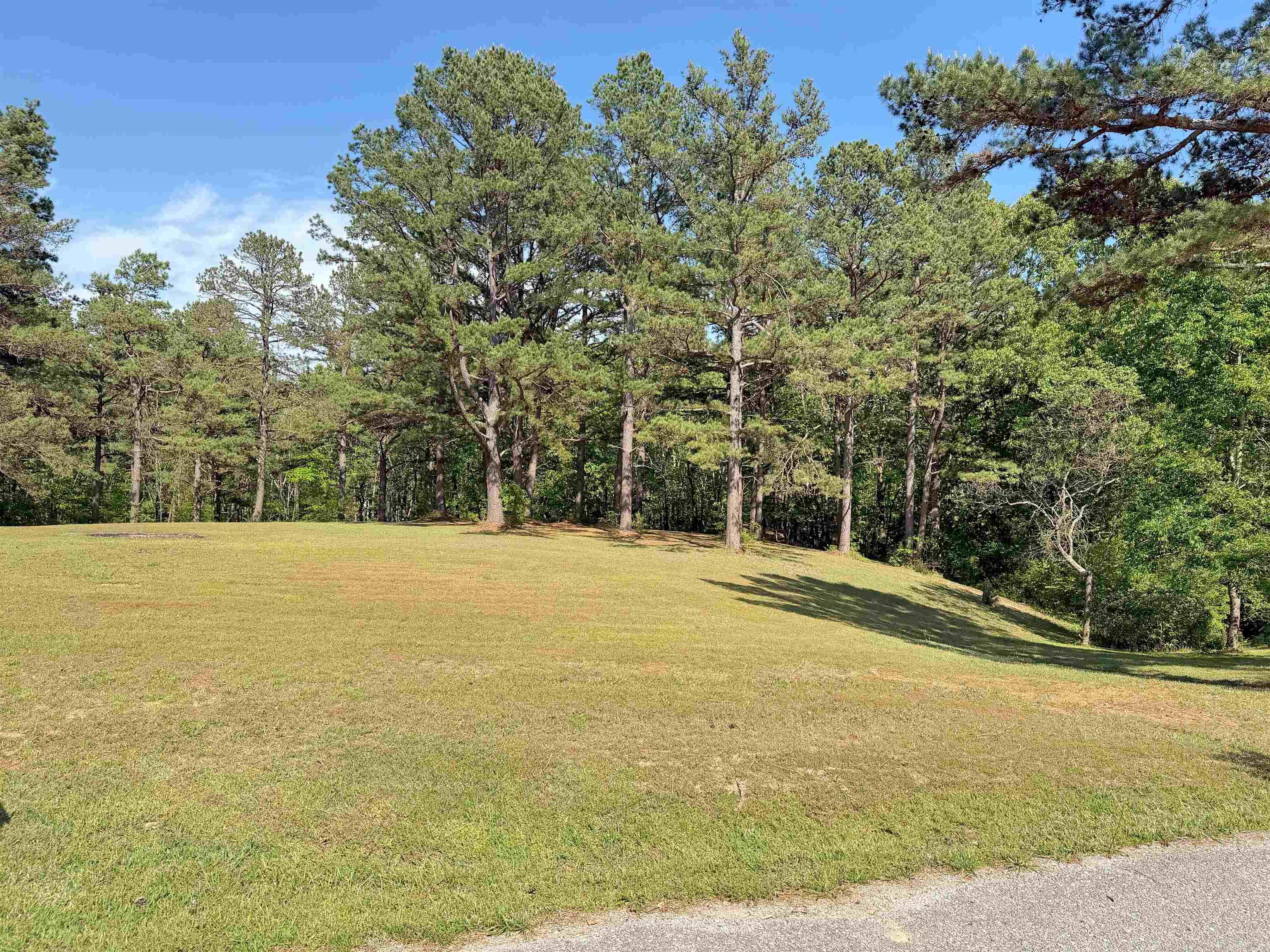 Lot 27 & 28 Tournament Dr.  Mountain View, AR