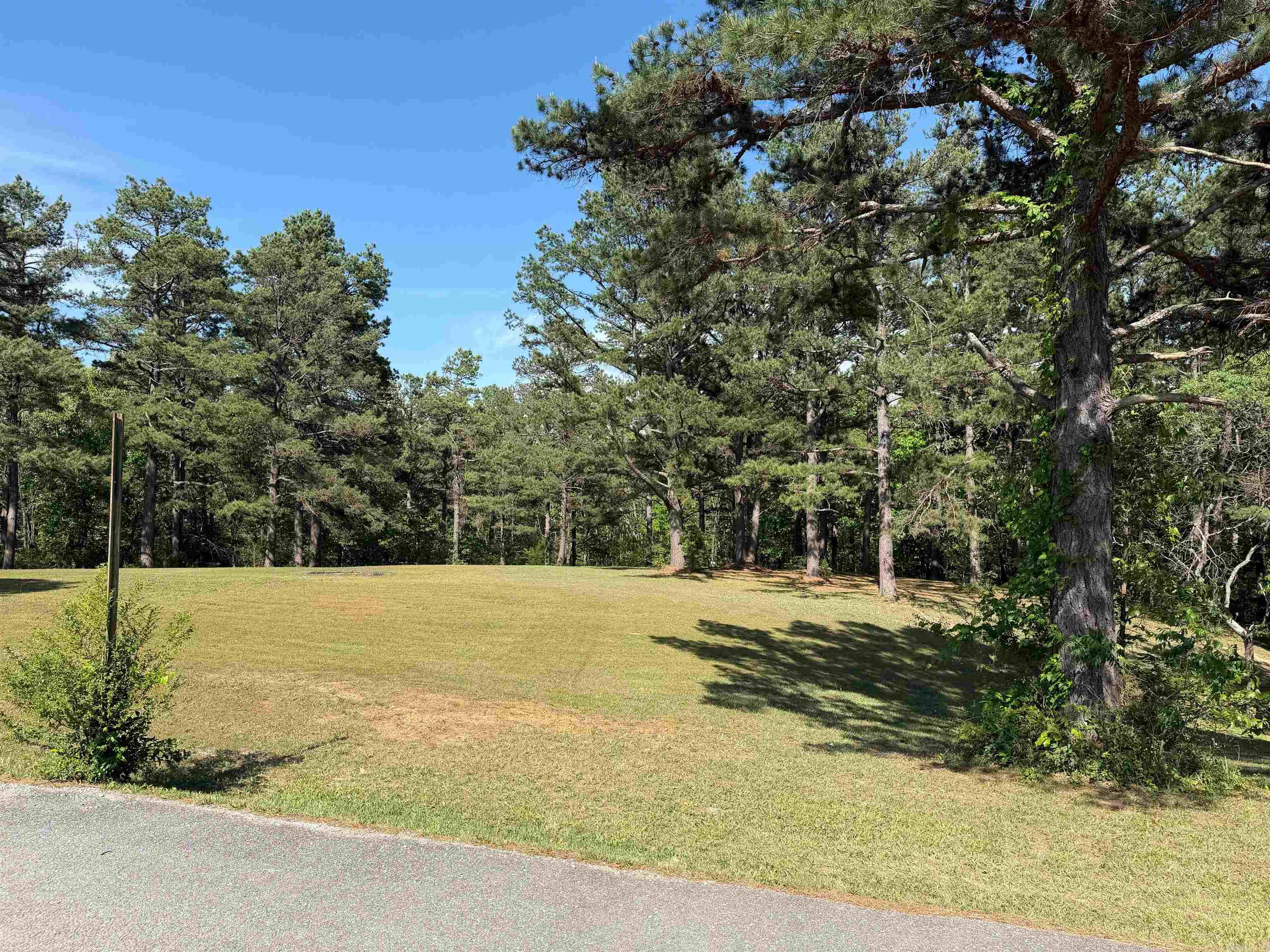 Lot 27 & 28 Tournament Dr.  Mountain View, AR