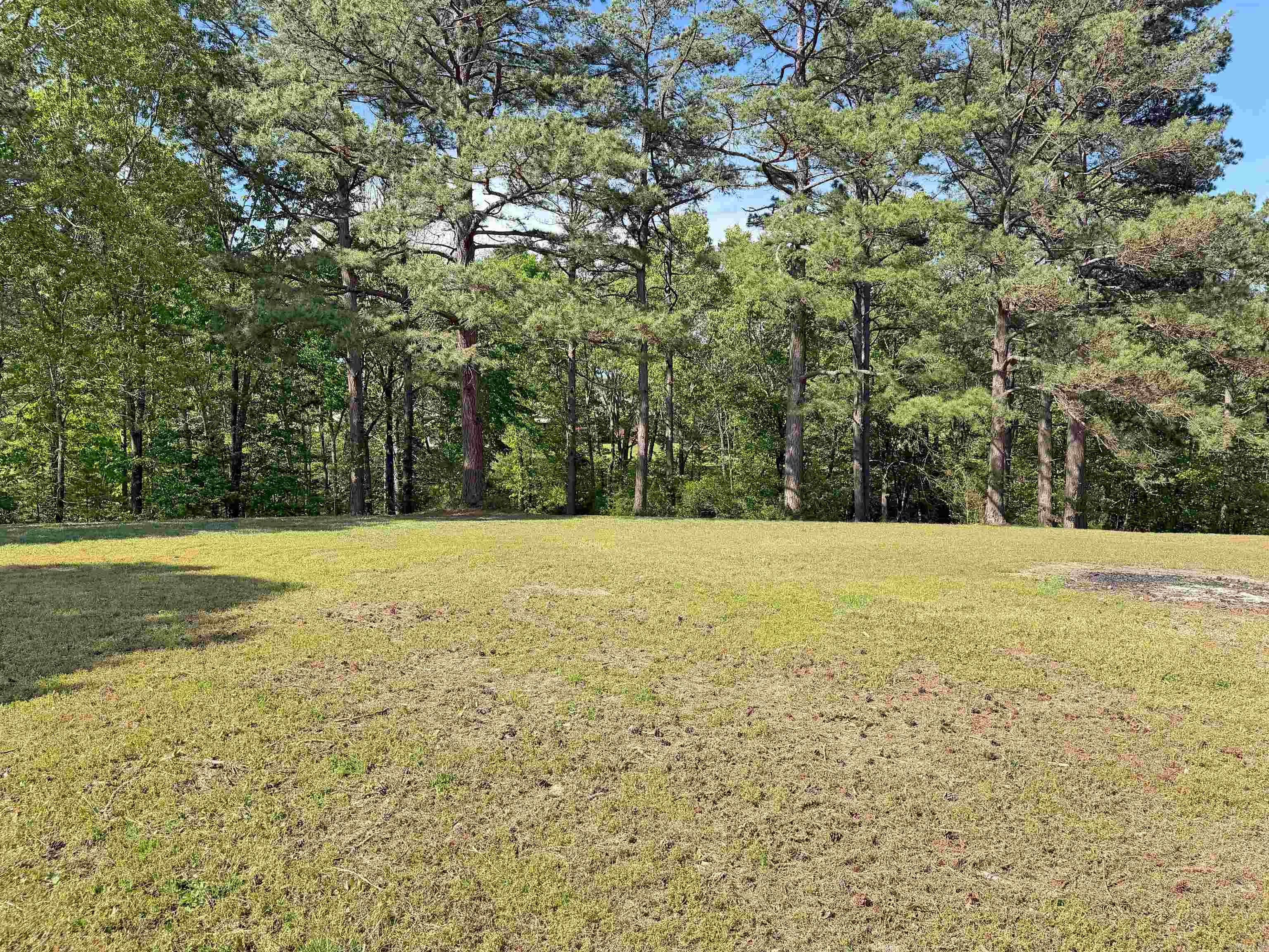 Lot 27 & 28 Tournament Dr.  Mountain View, AR