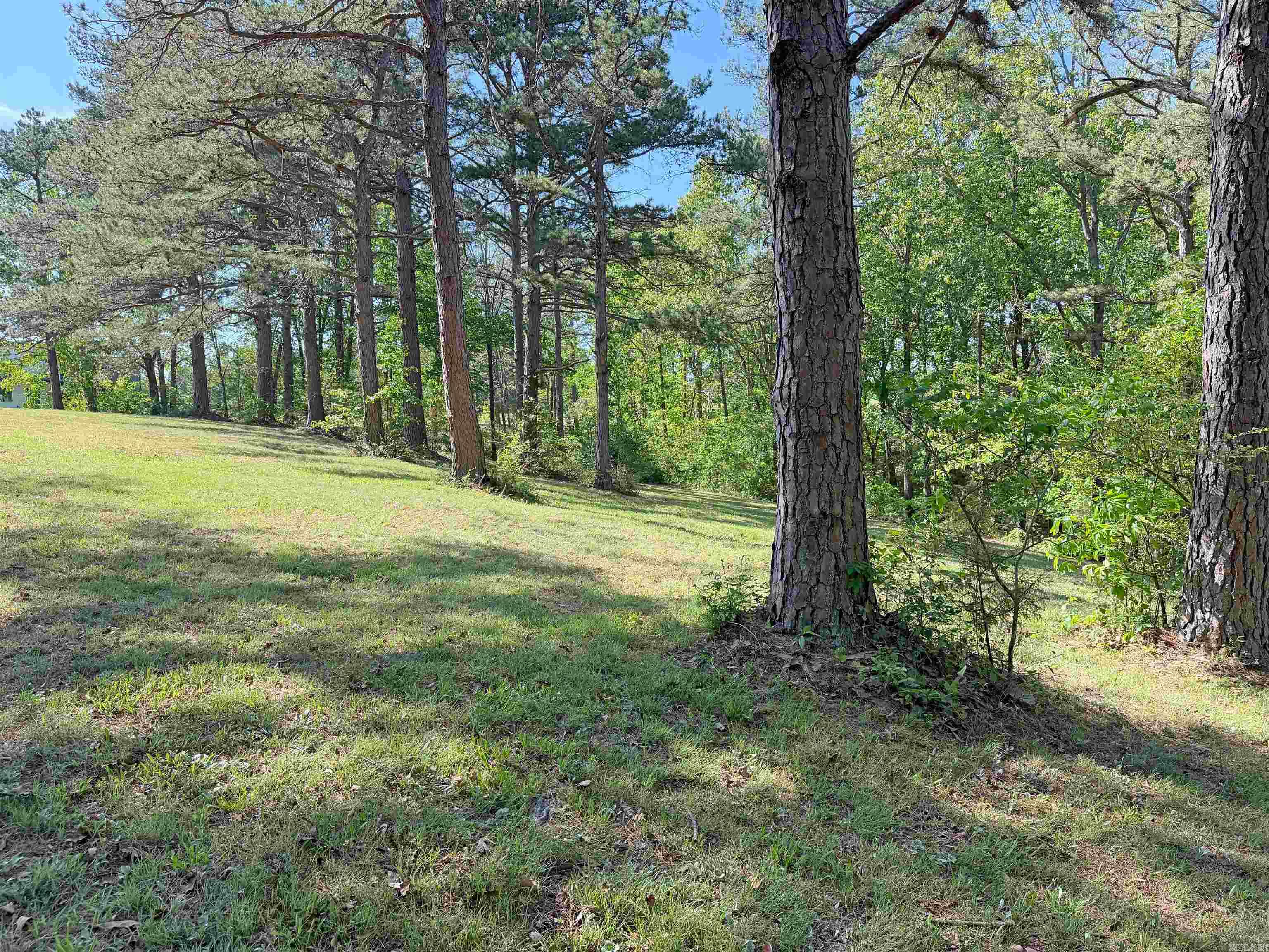 Lot 27 & 28 Tournament Dr.  Mountain View, AR