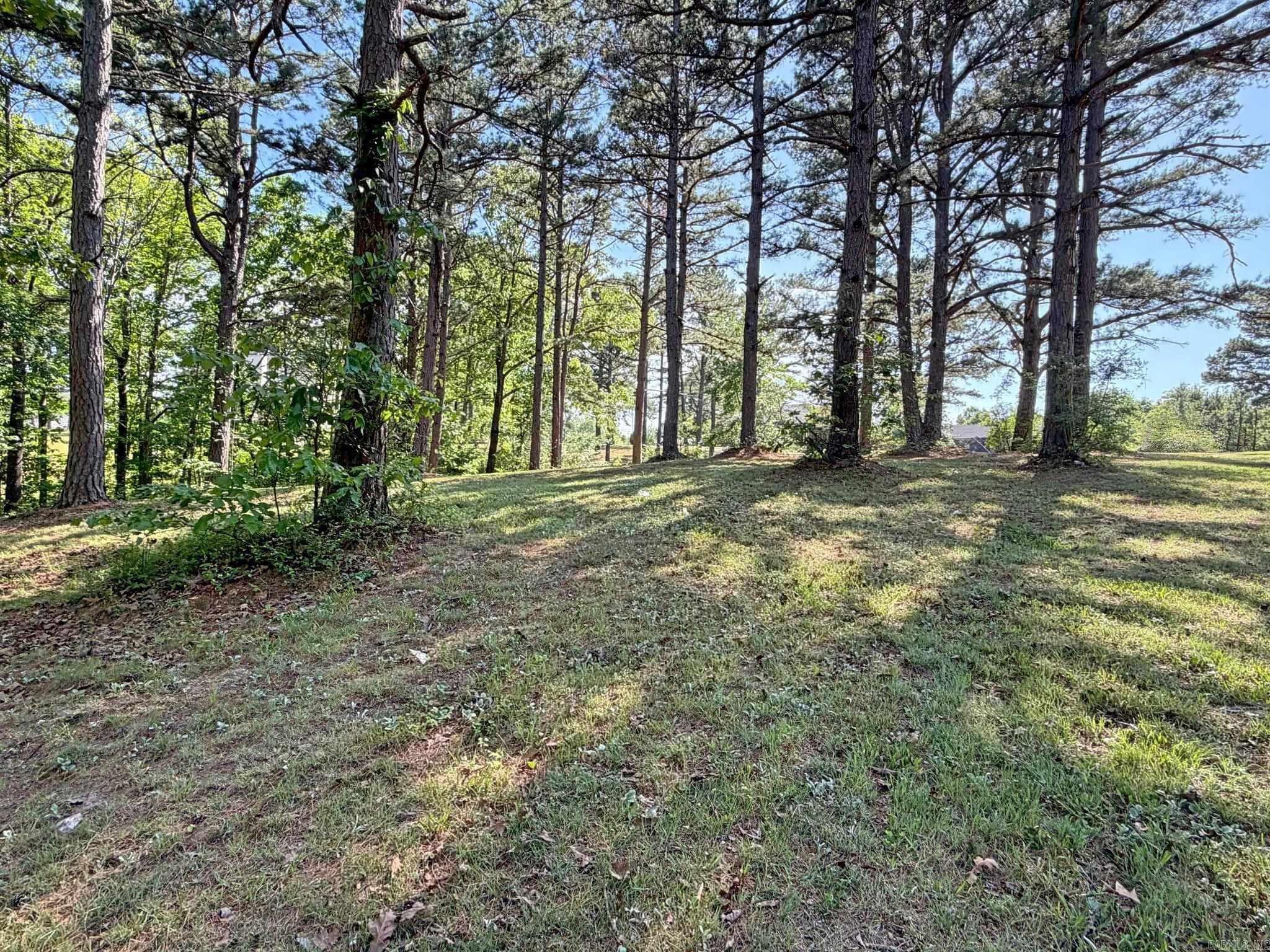 Lot 27 & 28 Tournament Dr.  Mountain View, AR