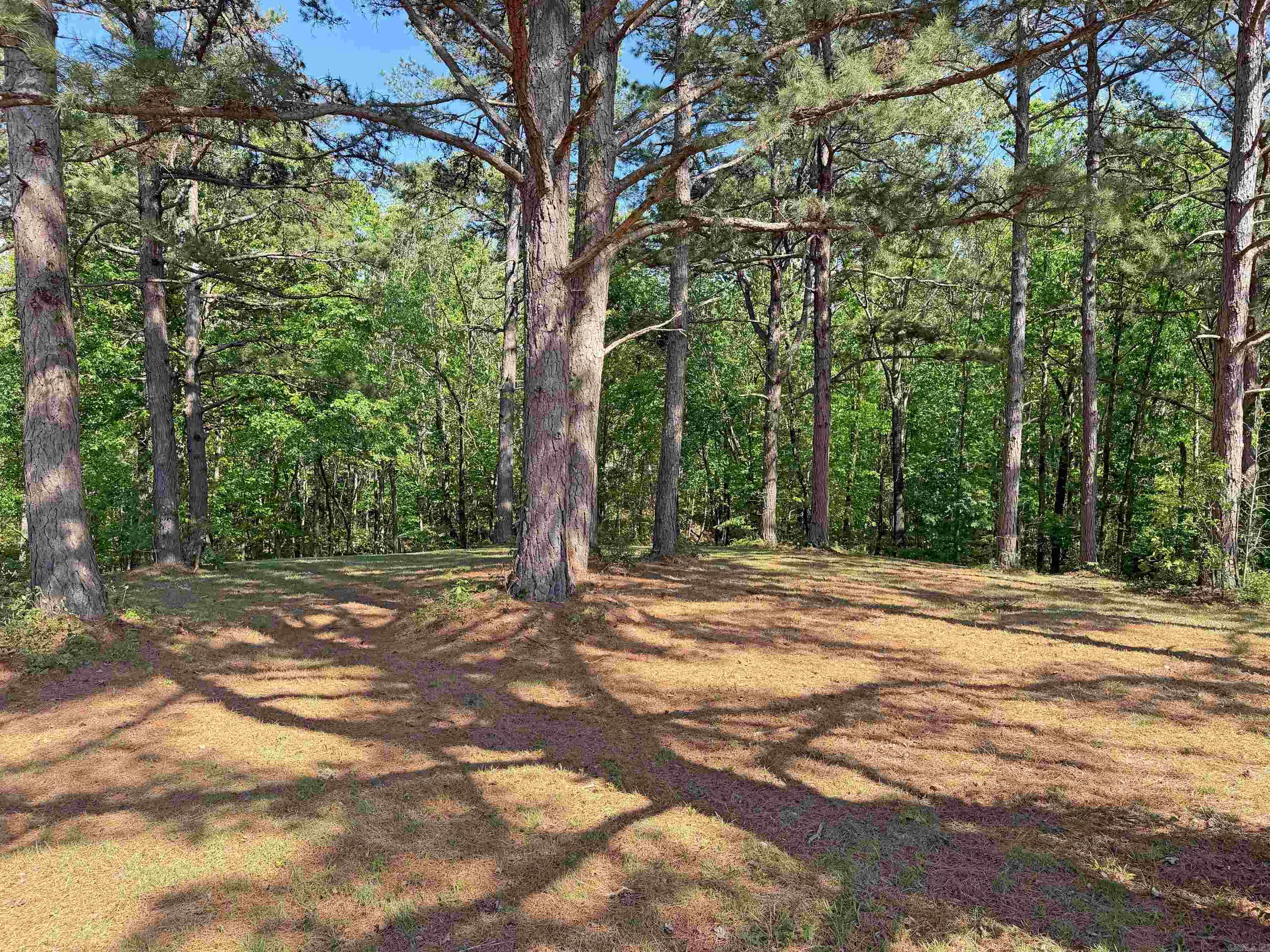 Lot 27 & 28 Tournament Dr.  Mountain View, AR