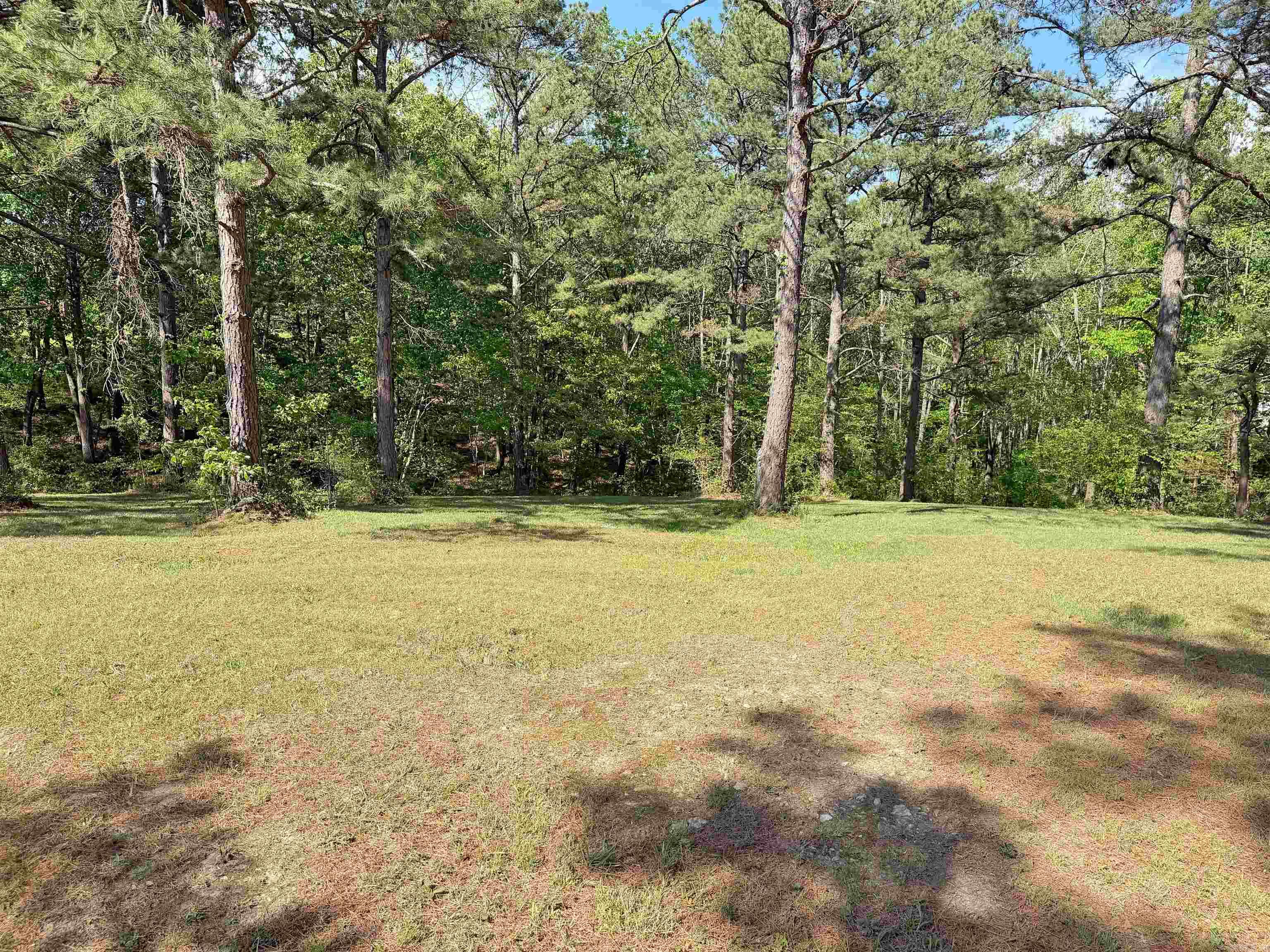 Lot 27 & 28 Tournament Dr.  Mountain View, AR