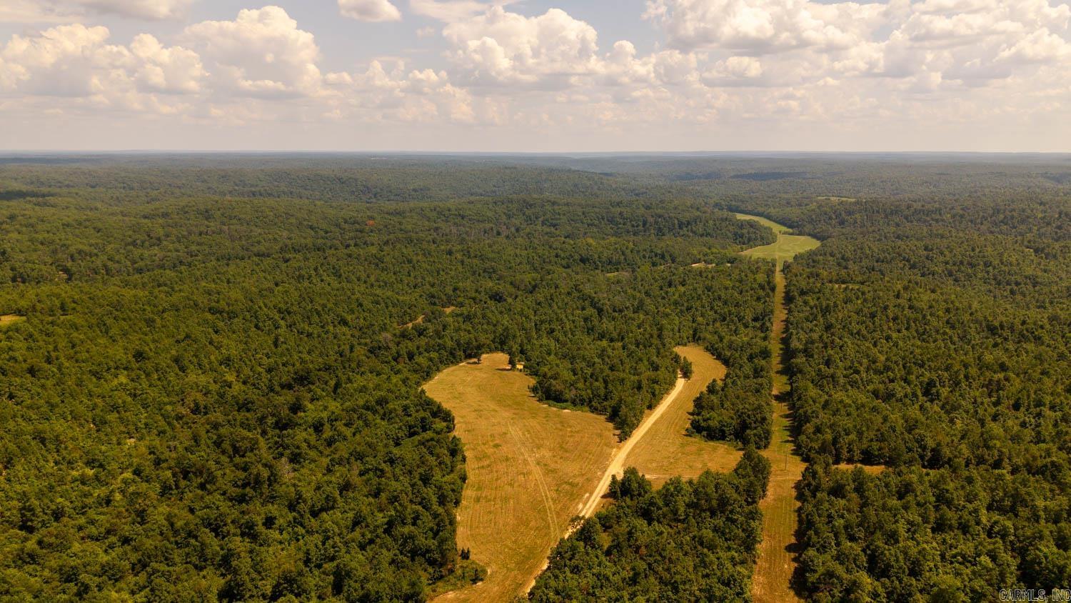 TBD County Road 443  Birch Tree, MO