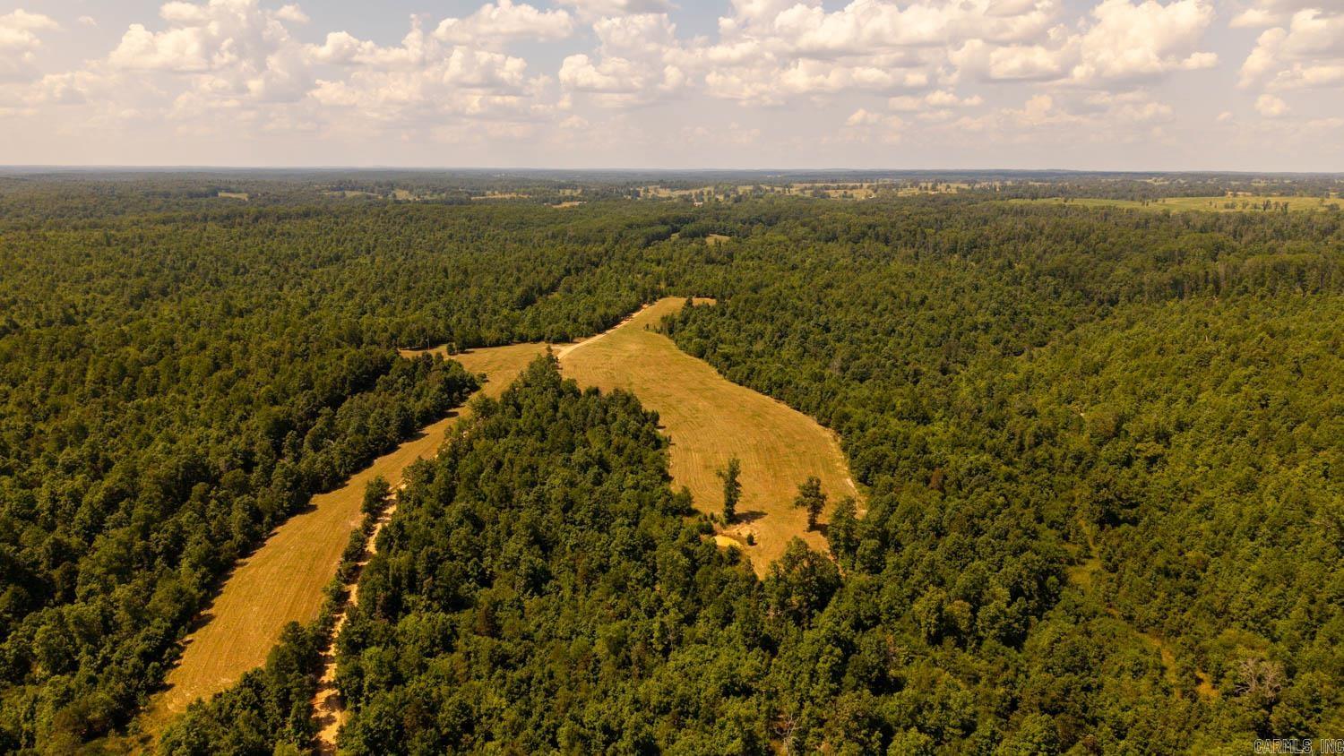 TBD County Road 443  Birch Tree, MO